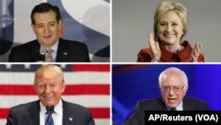 Clockwise, from top left, Texas Senator Ted Cruz, former Secretary of State Hillary Clinton, Vermont Senator Bernie Sanders and businessman Donald Trump all won contests in Saturday's presidential nominating contest, March 5, 2016.