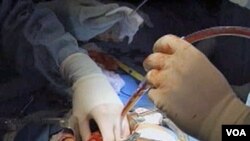 Ilustrasi - Seorang pasien yang gagal ginjal sedang menjalani transplantasi di sebuah rumah sakit di AS.