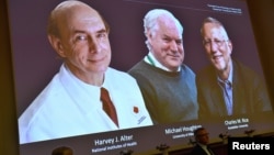獲得諾貝爾醫學獎的科學家哈維·阿爾特、邁克爾·霍頓和查爾斯·瑞斯。