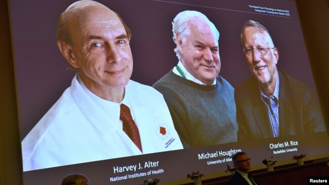 获得诺贝尔医学奖的科学家哈维·阿尔特、迈克尔·霍顿和查尔斯·瑞斯。
