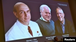 Harvey J. Alter, Michael Houghton and Charles M. Rice, are seen on a screen as the three laureates as they are announced as the winners of the 2020 Nobel Prize in Physiology or Medicine during a news conference at the Karolinska Institute in Stockholm.
