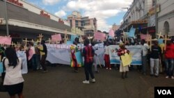 Zimbabweans fed up with the introduction of the country's national pledge stage a protest in Harare.
