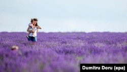 What a beautiful place for a walk! A mother with her daughter walk in a lavender field at 'Lavender Fest' festival, held in Moldova , June 2016. (EPA/DUMITRU DORU)