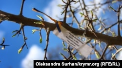 Акция в поддержку политзаключенных и военнопленных "Сажайте деревья, а не людей". Киев, 22 апреля 2019