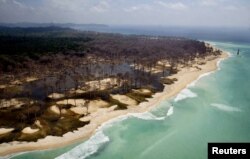 Pemandangan dari udara pesisir pantai Indira point, titik paling selatan India, 600 km sebelah selatan Port Blair di kepulauan Andaman dan Nicober, setelah diterjang tsunami yang melanda Asia Tenggara, 1 Maret 2005.