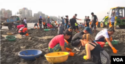 Indian citizens and Bolywood actors help clean waste off of Versova beach by Mumbai.