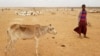 Millions at Risk as Drought Threatens Eastern Africa