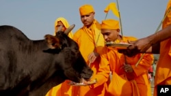 Hindu devotees feed a cow after performing Pind Daan rituals, believed to bring peace to the souls of ancestors, on the banks of the River Ganges, in Allahabad, India, Oct. 9, 2015.