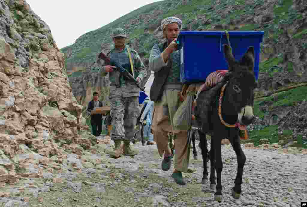 Afghan election workers use donkeys to transport ballot boxes and election materials to polling stations as they walk through Mazar-i-Sharif to Kishindih district in Balkh province, Afghanistan. Elections will take place on April 5, 2014.