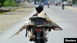 A fishmonger carries a shark on his motorcycle in Padang, West Sumatra, Indonesia August 25, 2016 in this photo taken by Antara Foto.