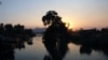 Environmentalists Issue Warning on Mekong Biodiversity