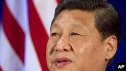 China's Vice President Xi Jinping in Washington, February 15, 2012.