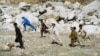 Збільшується число атак на афганських урядових працівників
