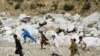 افغانستان: فضائی حملے میں 10 ہلاک