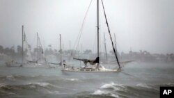 Jedrilice usidrene u blizini ostrva Voston ljuljaju se na snažnom vetru i talasima dok prolazi uragan Irma, 10 septembra 2017, Majami Bič, Florida