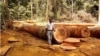 Un homme debout dans une clairière de la forêt tropicale au Cameroun, en Afrique, photo non datée. 