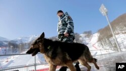Seorang anggota pasukan pengamanan Olimpiade Sochi di Rusia dengan mitra anjingnya berpatroli di kompleks atlet.