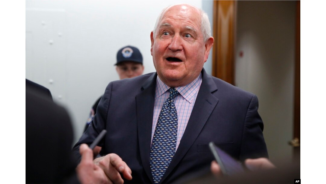 FILE - U.S. Agriculture Secretary Sonny Perdue speaks with reporters on Capitol Hill in Washington, April 11, 2018.