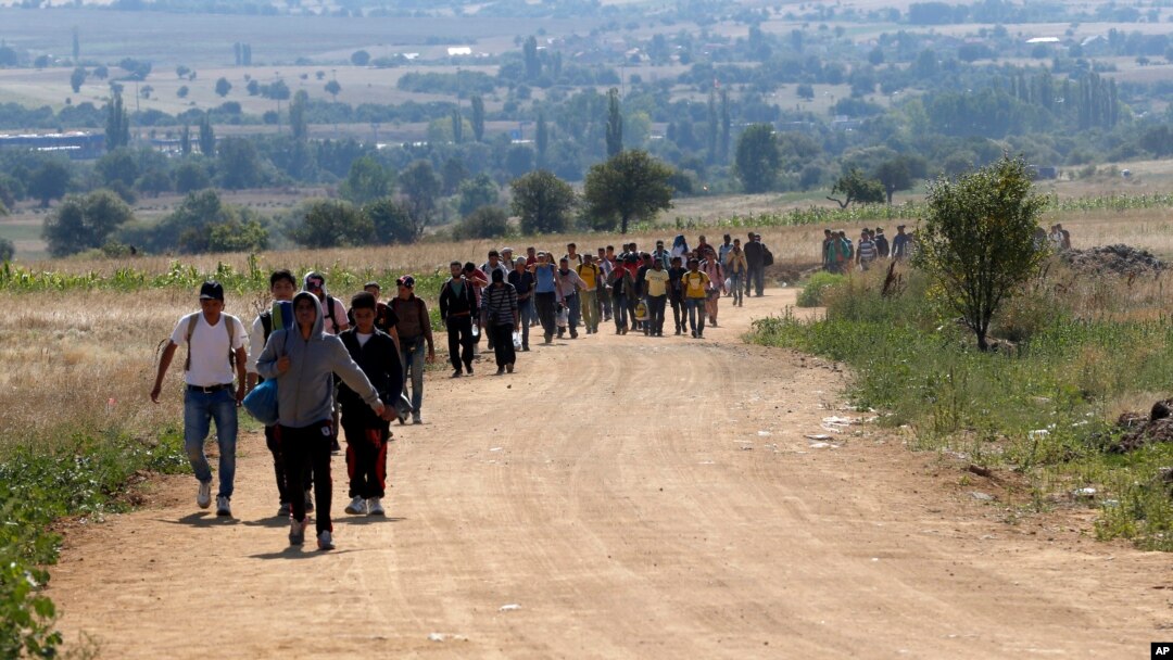 Migranti ulaze u Srbiju iz Makedonije u blizini sela Miratovac, 24. avgusta 2015.