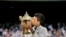 Petenis asal Serbia, Novak Djokovic, mencium piala kemenangan setelah mengalahkan petenis Swiss, Roger Federer, dalam final nomor tunggal putra turnamen Wimbledon di London, 14 Juli 2019.