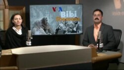 بي بي شیرینه – وي او اې ډيوه په ټیلې ویژن