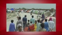 د ډیوه د روانو چارو خپرونه په ټي وي
