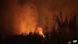 Sparks are blown by the wind from burning pine trees on the hills near Abrantes, central Portugal, Thursday night, Aug. 10, 2017.