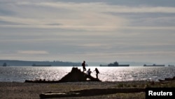 Children climb on a large piece of driftwood along the beach of Ambleside Park in West Vancouver, British Columbia, March 25, 2013. A man walking his dog on a Vancouver beach discovered a sneaker-clad foot Wednesday, the 13th severed extremity to wash ashore in British Columbia since 2007.