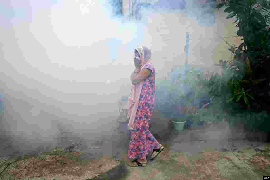 A resident covers her face as a New Delhi Municipal Council worker fumigates during a drive in a residential area to prevent dengue mosquito breeding, in New Delhi.