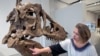 Scientists Argue over Intelligence of T. Rex