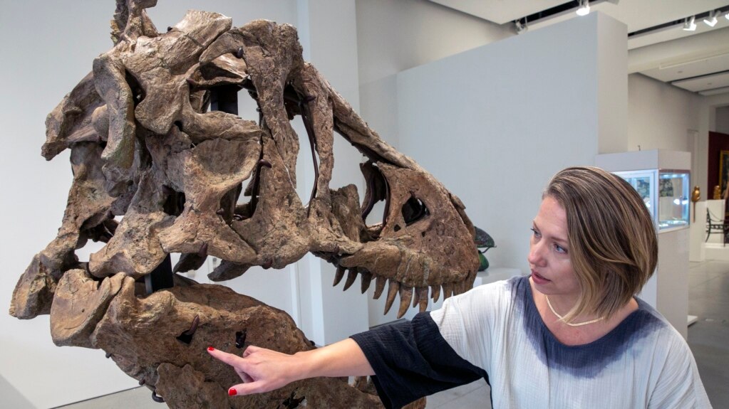 Scientists Argue over Intelligence of T. Rex