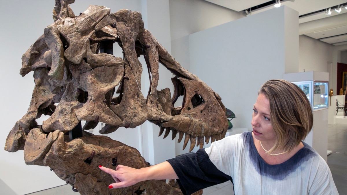 Vědci debatují o inteligenci T. rex