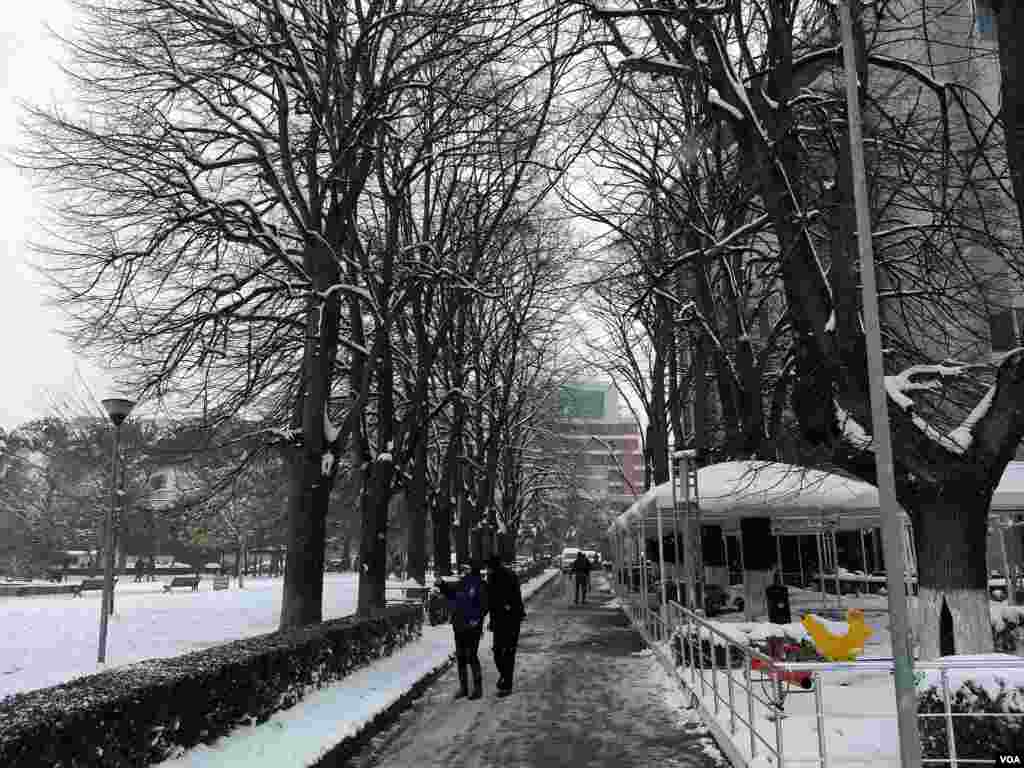 Shkodra snow 