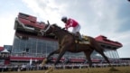Rombauer Scores Upset in Preakness Stakes
