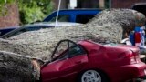 A downed tree lies atop a crushed car in Philadelphia. About 228,000 homes and businesses across Pennsylvania, USA, remain without power after severe thunderstorms raced across the state.