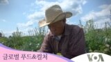 [글로벌 푸드&컬처] 미국 내 몽족 농업 문화 