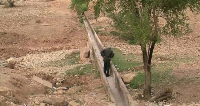 Palestinian Farmers in Jordan Valley Face Disastrous Growing Season