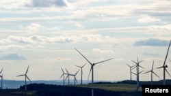 FILE - A wind farm behind Voigtsdorf near Dorfchemnitz, Germany, is seen in this Aug. 9, 2024, photo. 