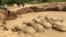11 Elephants are stuck in a mud hole at the Keo Seima Wildlife Sanctuary, Mondulkiri province, Cambodia, March 24th, 2017 before being rescued. (Photo from Wildlife Conservation Society)