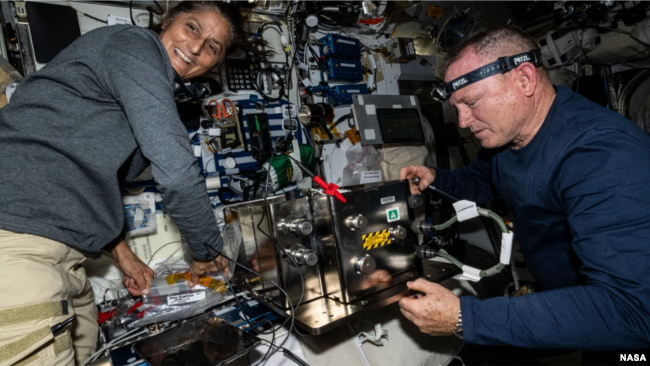 Astronauts Butch Wilmore and Suni Williams prepare orbital plumbing equipment inside the International Space Station. (NASA)