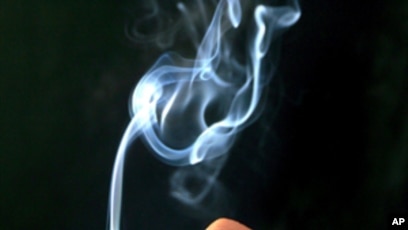 things inside a cigarette NOVA Online | Search for a Safe Cigarette