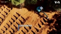 巴西为新冠逝者修建万人冢