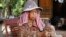 អតីតខ្មែរក្រហម លោកស្រី ផាត់ រុន អាយុ៦៥ឆ្នាំ រស់នៅ​ក្នុងភូមិកណ្តាលក្រោម ឃុំអន្លង់វែង ស្រុកអន្លងវែង ខេត្តឧត្តរមានជ័យ ចងស្លឹកព្រាល យកទៅ​ធ្វើជន្លុះ។ (ស៊ុន ណារិន/VOA)