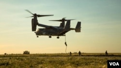 ამერიკული V-22 Osprey უკრაინაში, სამხედრო წვრთნებზე პირველად გამოჩნდა