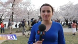 ვაშინგტონი დღეს, 7 აპრილი, 2019