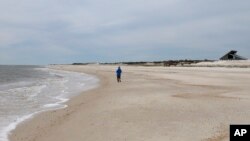 ARCHIVO - Millas de playa vacía y miles de millones de conchas marinas esperan a un vagabundo solitario en St. George Island State Park cerca de Apalachicola en el Panhandle de Florida, 5 de febrero de 2007.