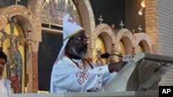 Fr.Athenasisus Celebrates Divine Liturgy