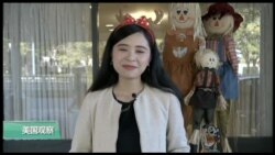 美国观察2018年11月1日