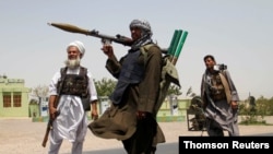 حمایت مجاهدین سابق از نیروهای افغان در جنگ علیه طالبان، در حومه ولایت هرات