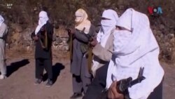 
څېړونکي: ترهګري هغه موضوع ده چې پاکستان په کې اوس هم د امریکا ملاتړ ته ضرورت لري
